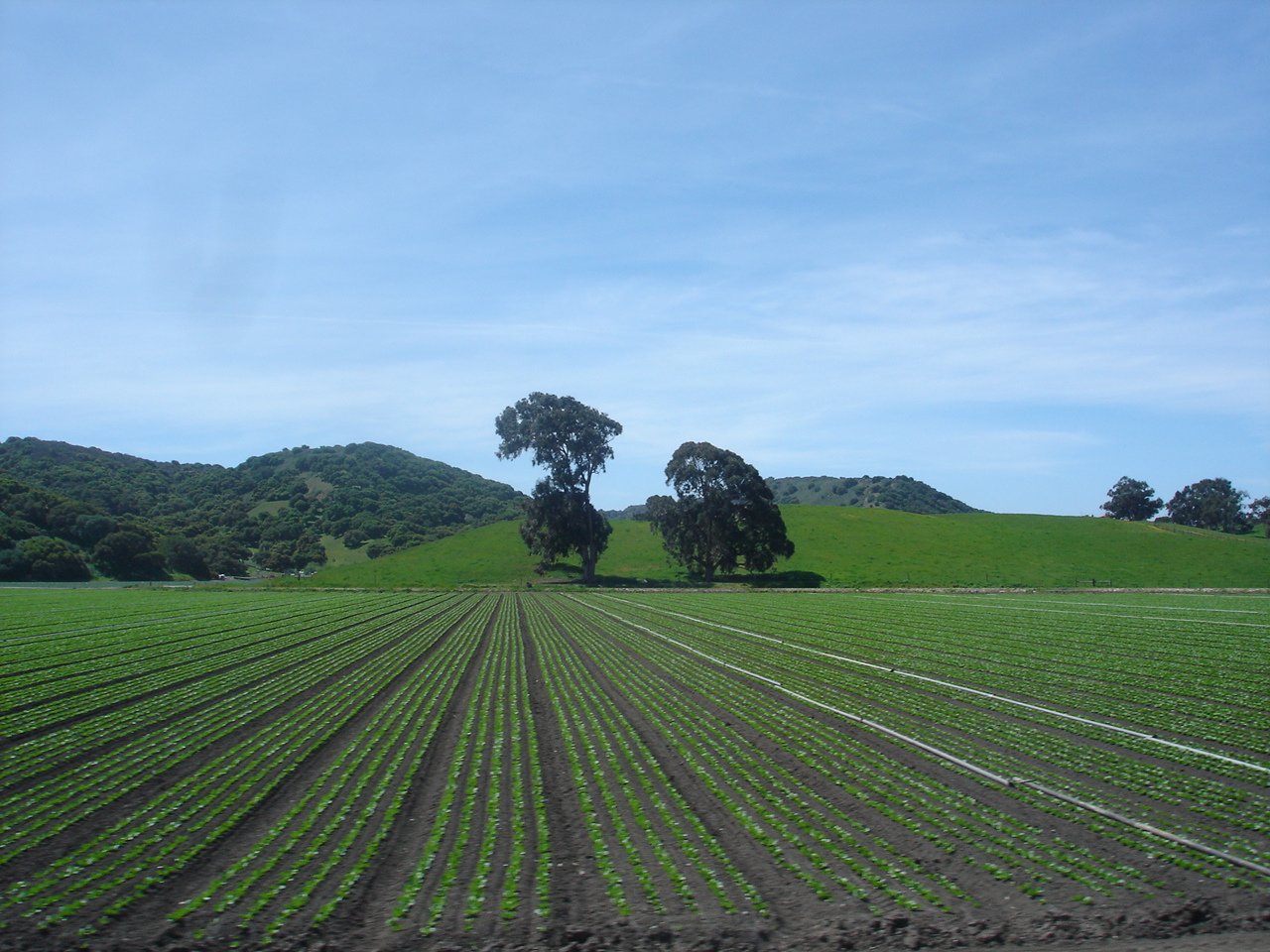 Salinas, California: Steinbeck's Valley of the World (image credits: wikimedia)
