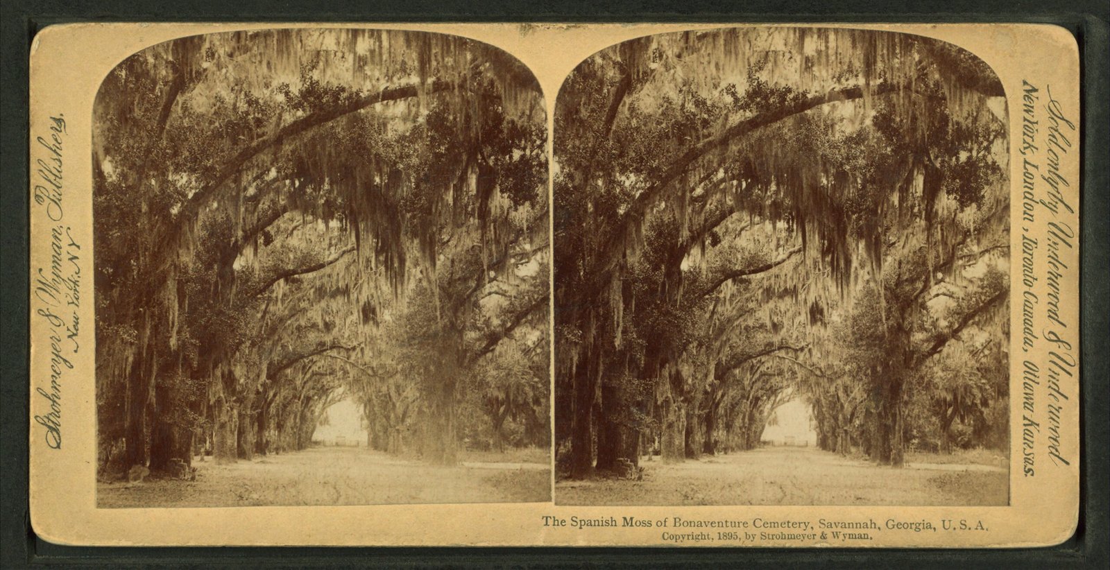 Savannah, Georgia: John Berendt's Gothic Paradise (image credits: wikimedia)