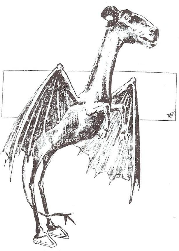 The Mysterious Origins of the Jersey Devil (image credits: wikimedia)