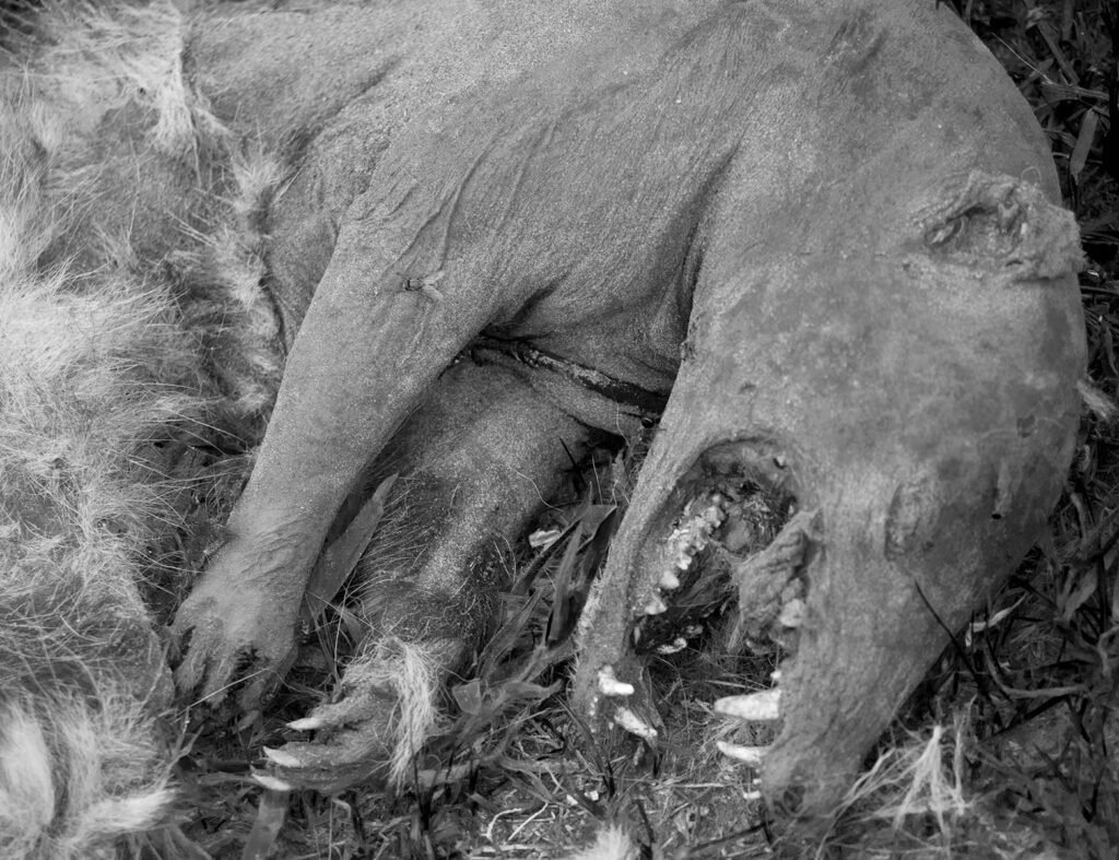 Hidden Stories Behind Famous American Folk Tales