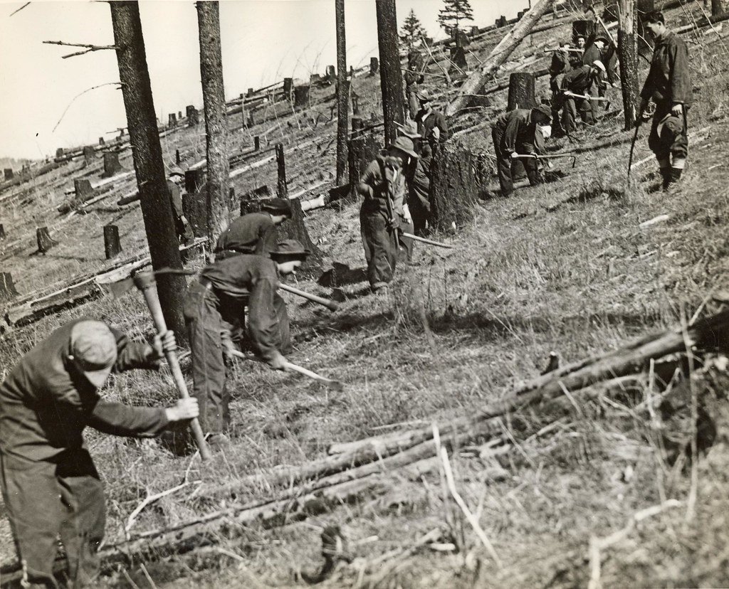 The Dark History of American National Parks