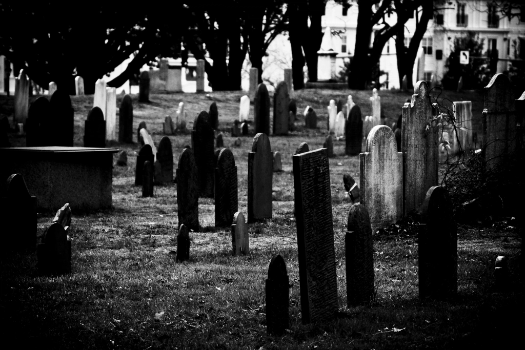 Memorial Day: Born from the Ashes of the Civil War (image credits: rawpixel)