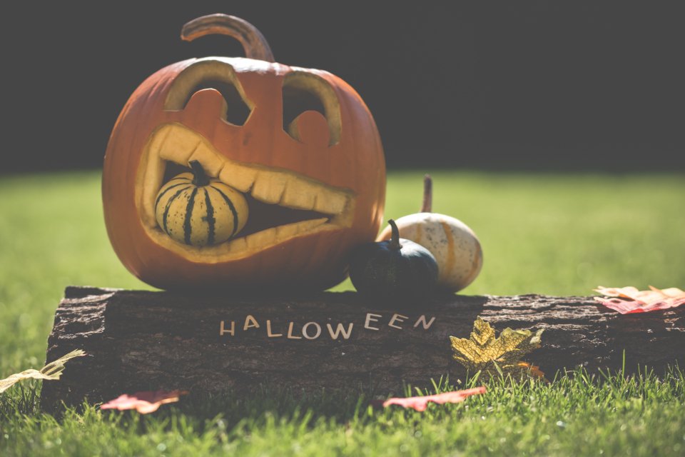 Halloween: From Celtic Festival to Candy Craze (image credits: stocksnap)