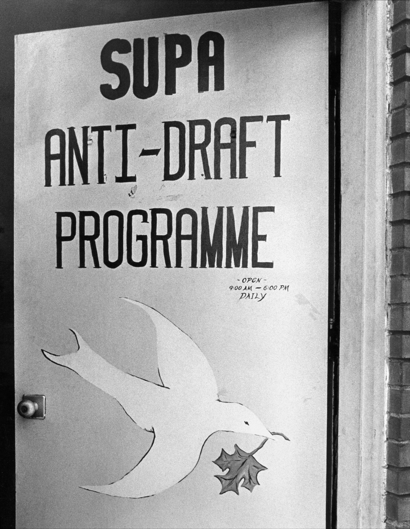 The Draft and Its Consequences (image credits: wikimedia)