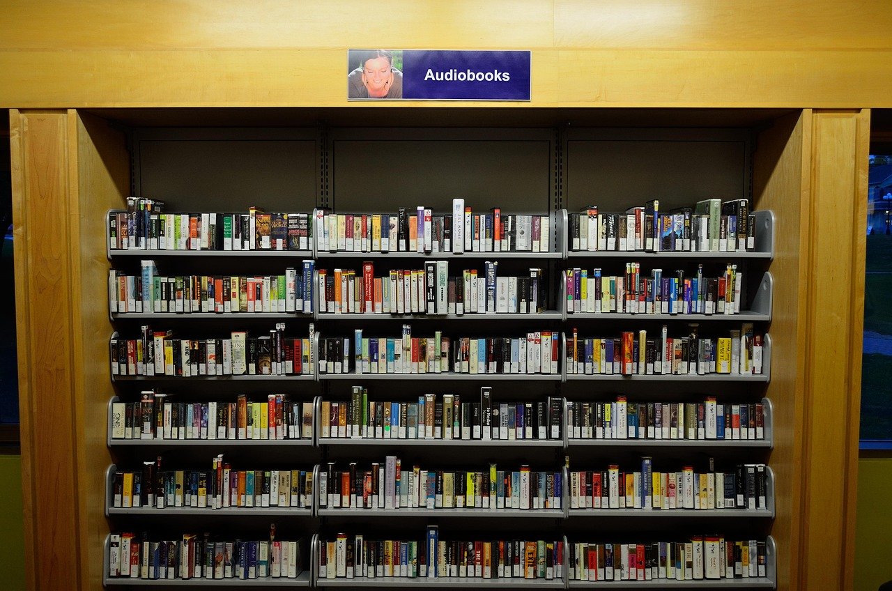 Accessible Formats for All Readers (image credits: pixabay)