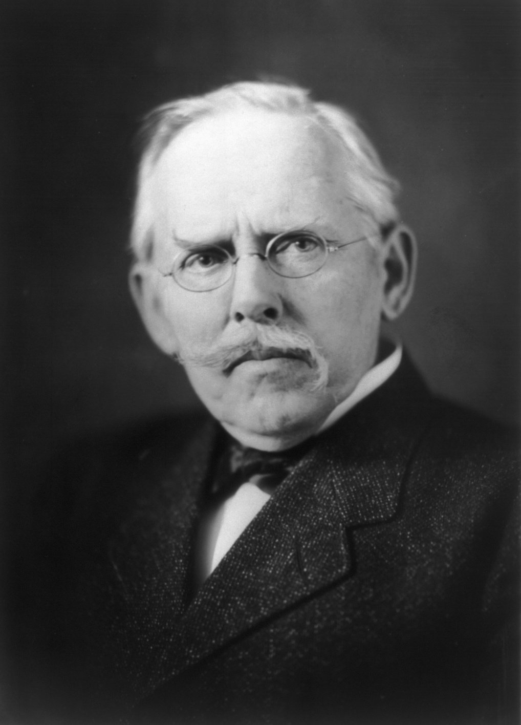The Making of an American - The Reformer's Journey (image credits: This image  is available from the United States Library of Congress's Prints and Photographs division under the digital ID cph.3b05563.This tag does not indicate the copyright status of the attached work. A normal copyright tag is still required. See Commons:Licensing., Public domain, https://commons.wikimedia.org/w/index.php?curid=653512)