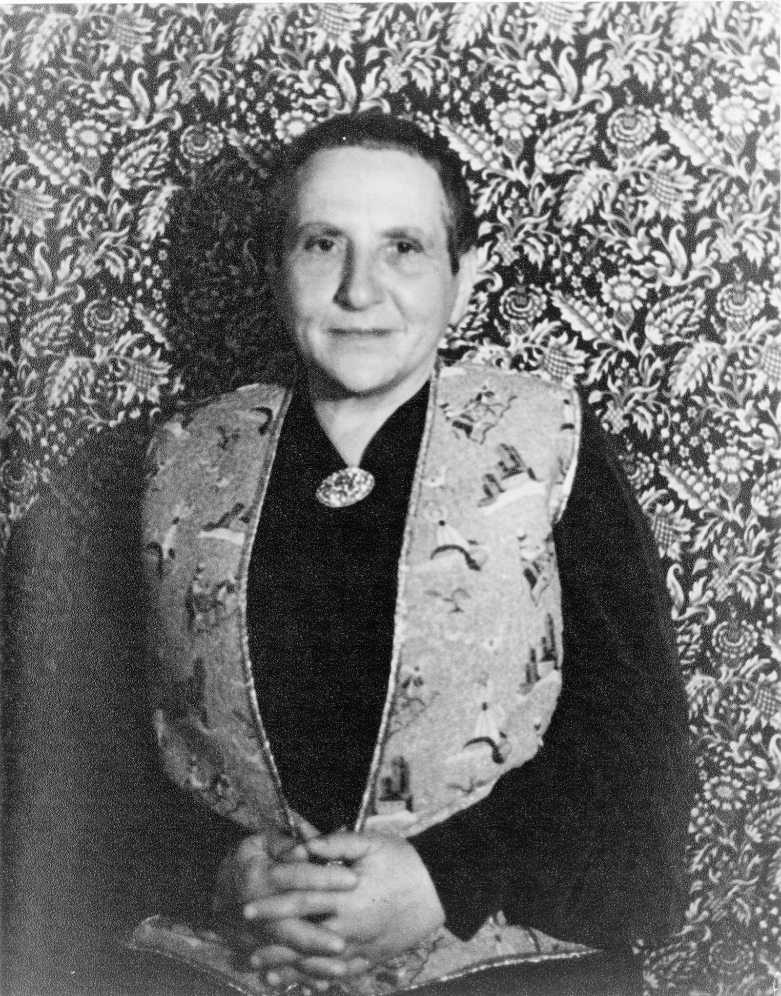 Gertrude Stein – A Modernist in Vichy France (image credits: wikimedia)