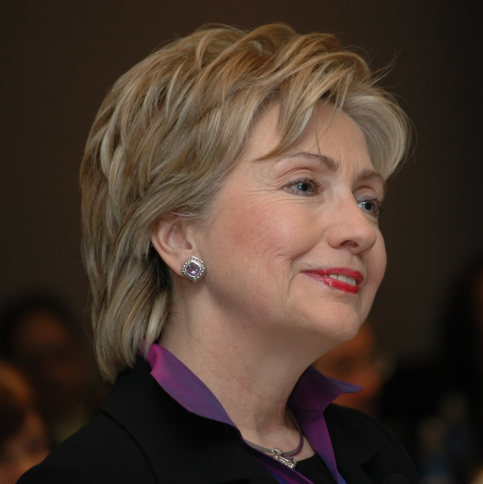 Hillary Clinton's Preparation Campaign (image credits: wikimedia)