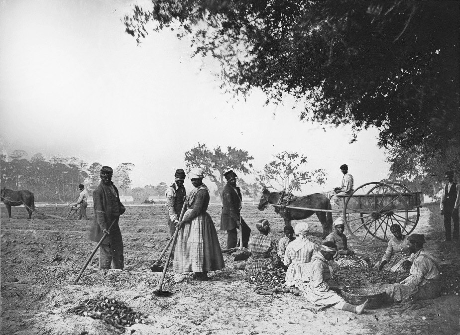 The 1861 Port Royal Experiment (image credits: Library of Congress (Image page), Public domain, https://commons.wikimedia.org/w/index.php?curid=4853695)