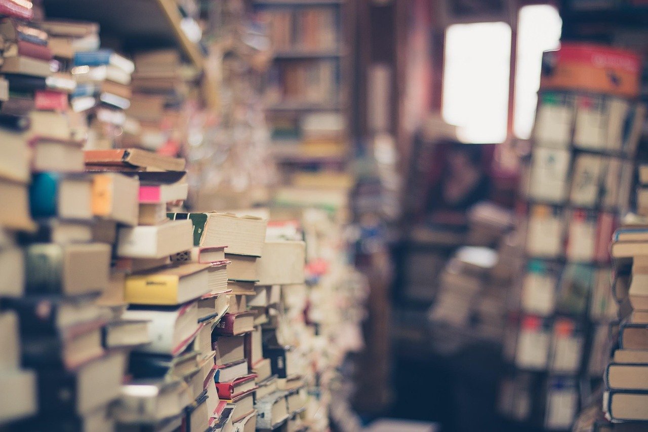 The Role of Bookstores in Shaping Legacy (image credits: pixabay)