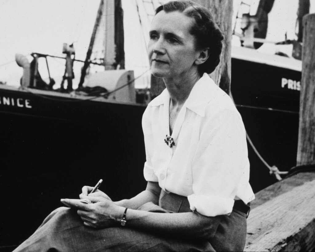 3. Silent Spring (1962) by Rachel Carson (image credits: flickr)