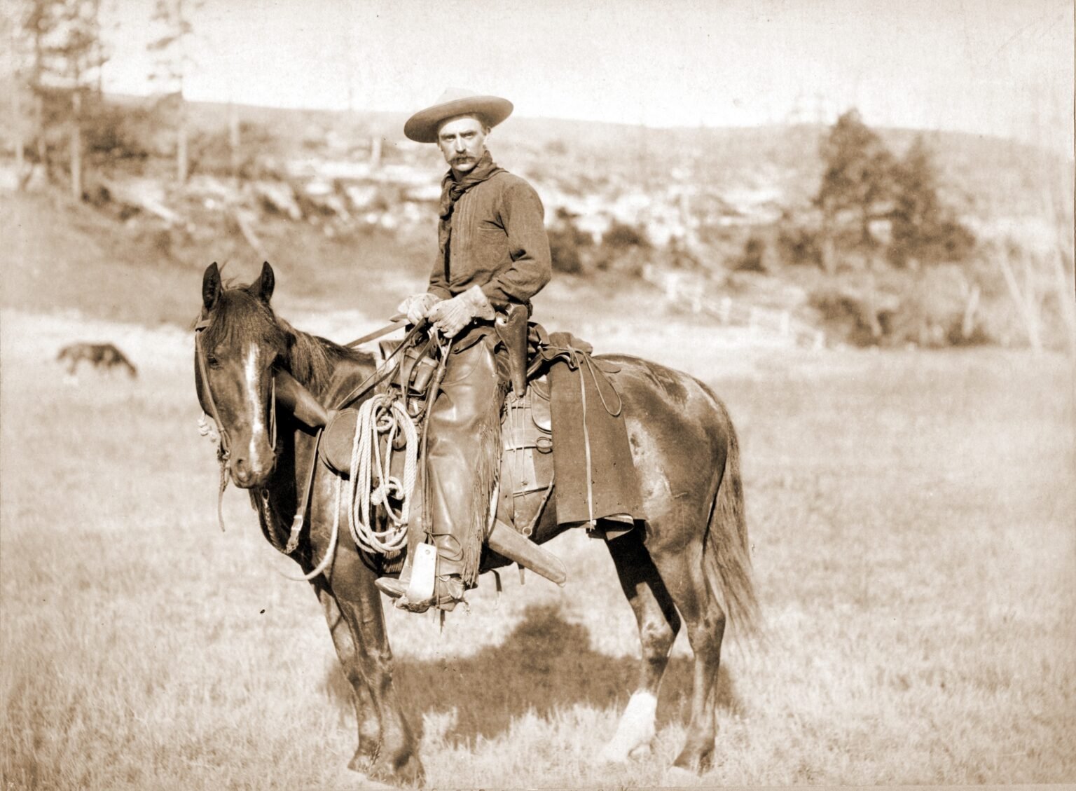 Reclaiming the Western: The Most Subversive Cowboy Books Today