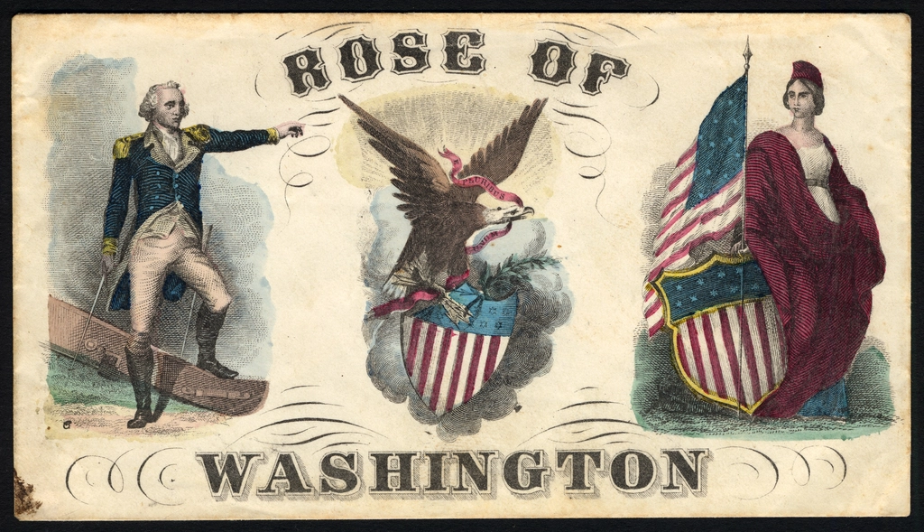 England's Bleeding Rose: The Wars of the Roses' 32-Year Nightmare (image credits: rawpixel)