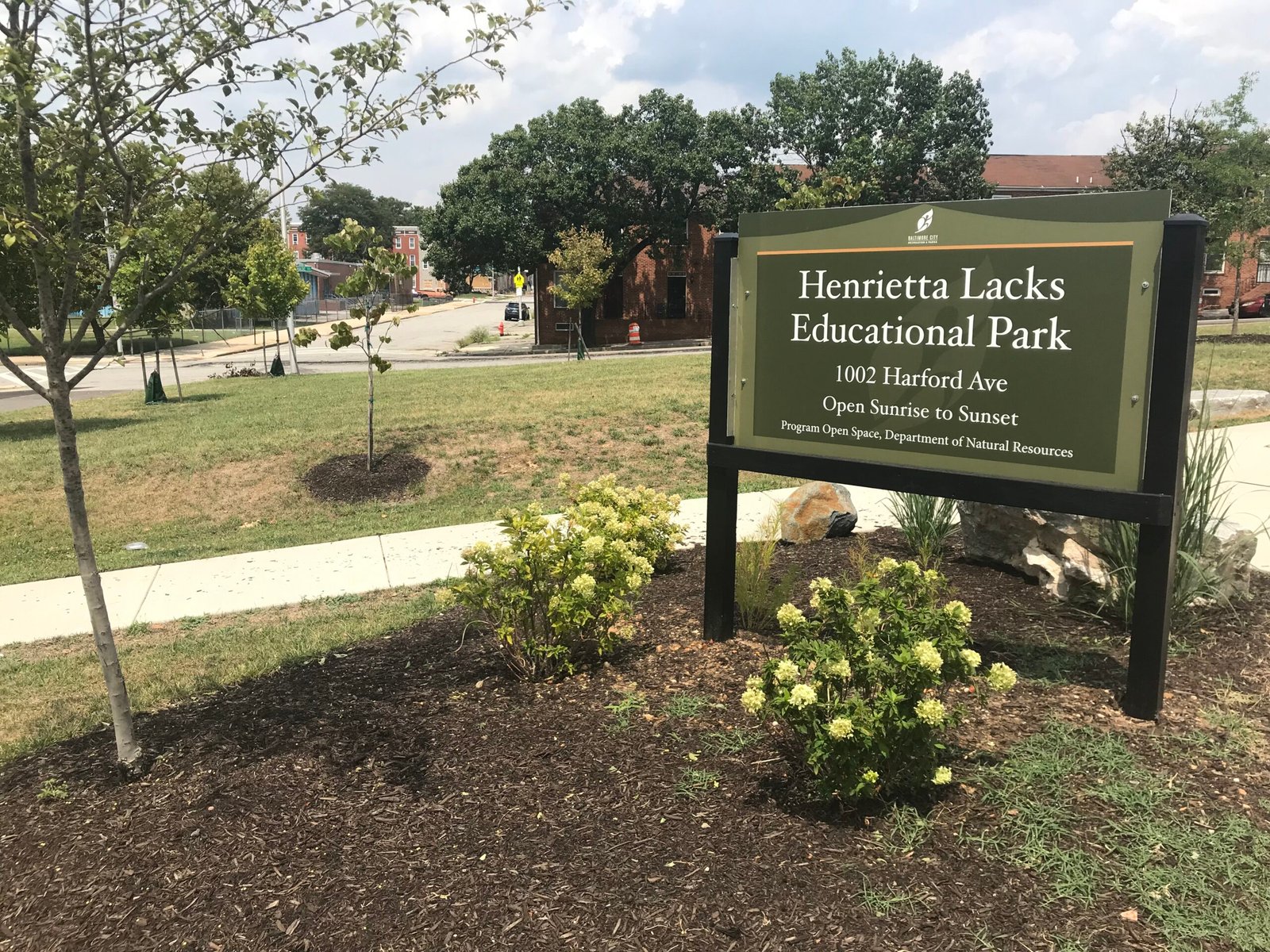 Henrietta Lacks: The Immortal Cells That Changed Medicine (image credits: Henrietta Lacks Educational Park, 1002 Harford Avenue, Baltimore, MD 21202, CC0, https://commons.wikimedia.org/w/index.php?curid=110759691)