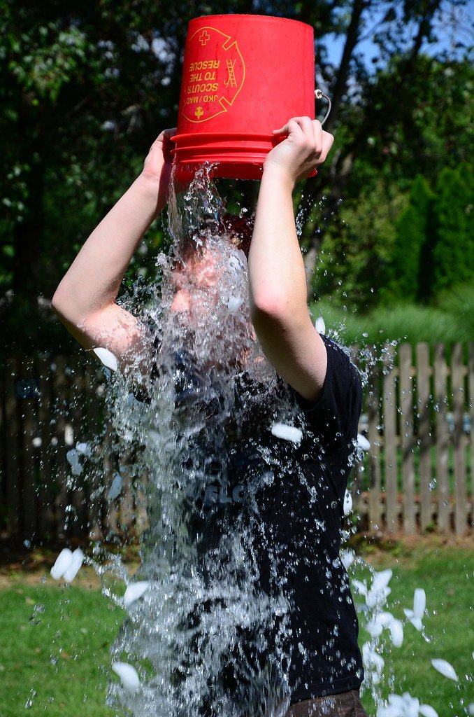 The Viral Explosion That Nobody Saw Coming (image credits: flickr)
