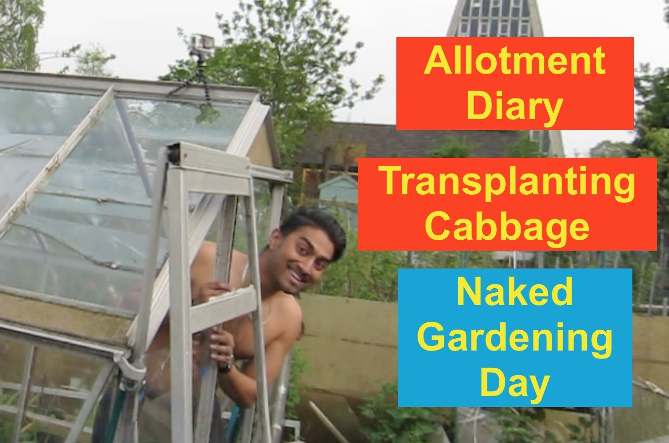 Unconventional Holidays You Never Knew Existed