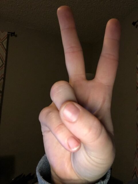The 1960s Peace Movement: Reclaiming the V-Sign (image credits: wikimedia)
