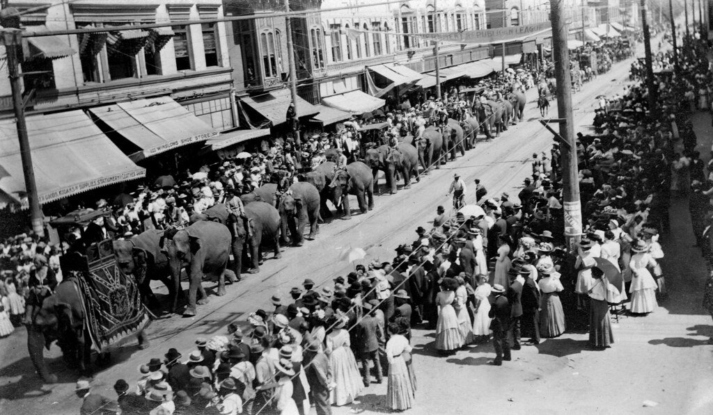 Circus Parades: A Traveling Spectacle (image credits: flickr)