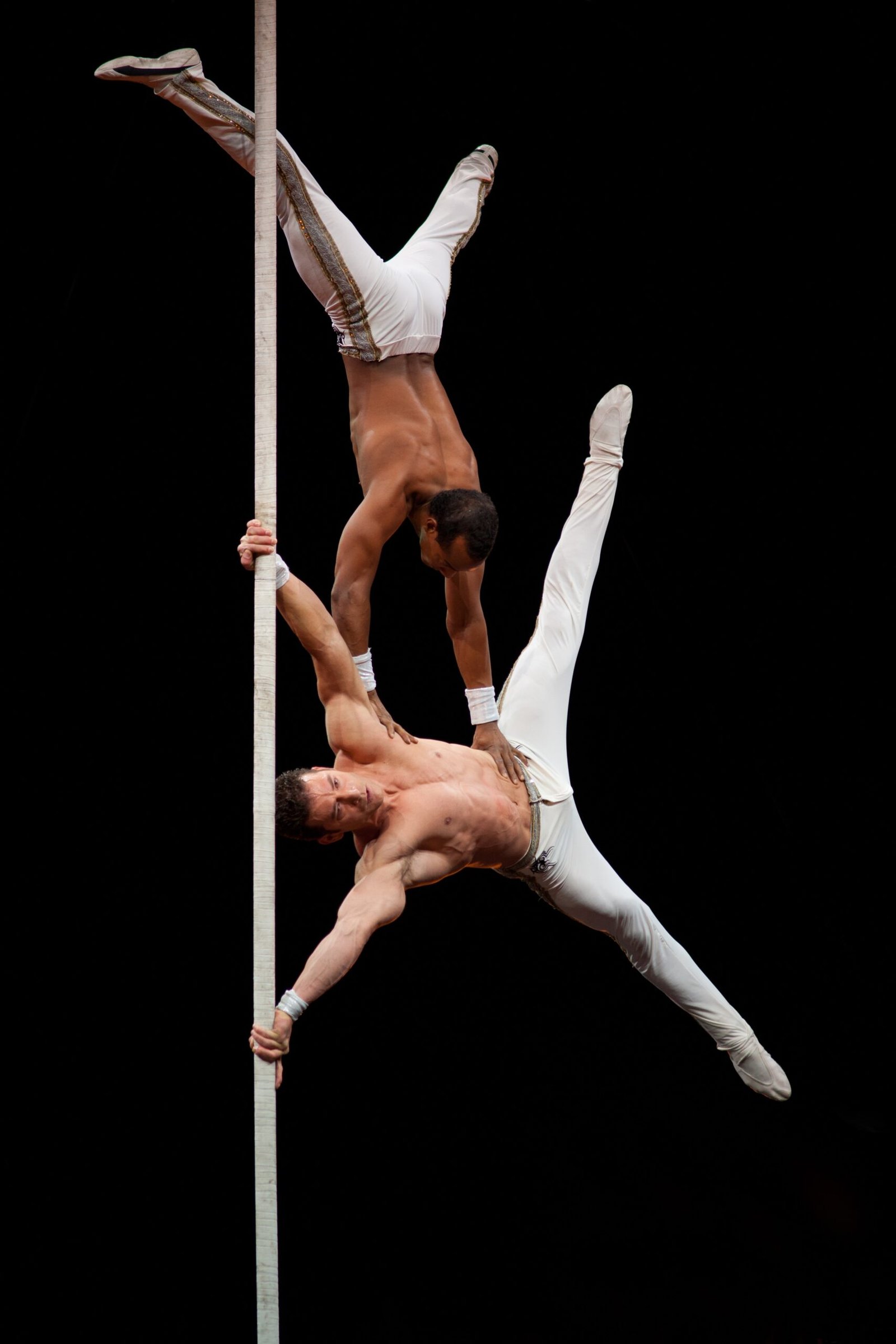 The Circus Renaissance: From Tradition to Art (image credits: By Ludovic Péron, CC BY-SA 3.0, https://commons.wikimedia.org/w/index.php?curid=17320708)
