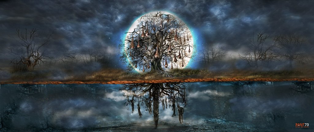 The Gray Matter Transformation (image credits: flickr)