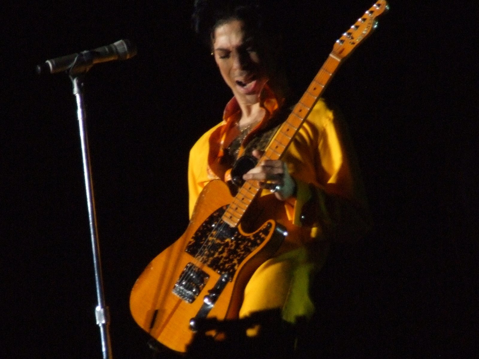 The First Public Reveal: An Unforgettable Performance (image credits: Flickr: Prince, CC BY-SA 2.0, https://commons.wikimedia.org/w/index.php?curid=16954348)