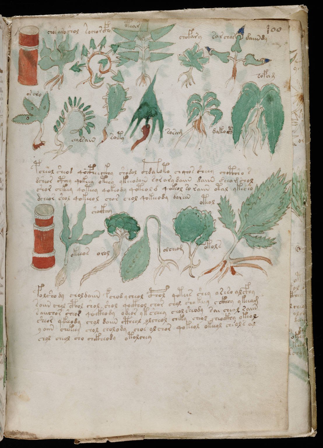 The Voynich Manuscript's Impossible Code (image credits: wikimedia)