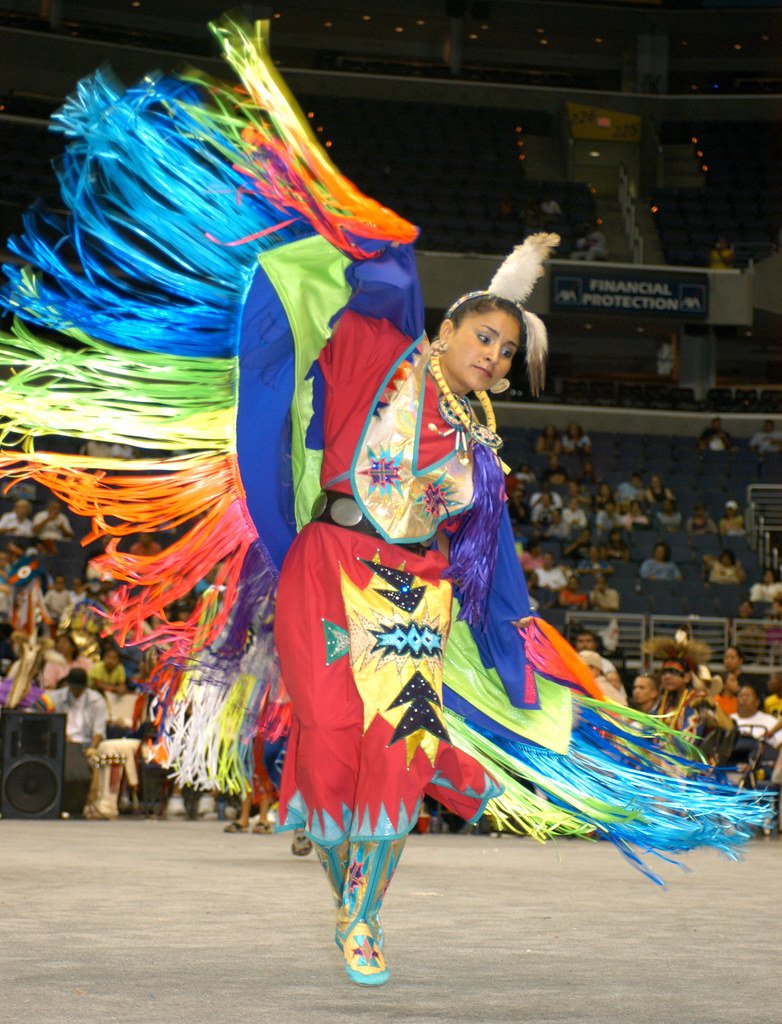 The Influence of Native Voices Books (image credits: flickr)