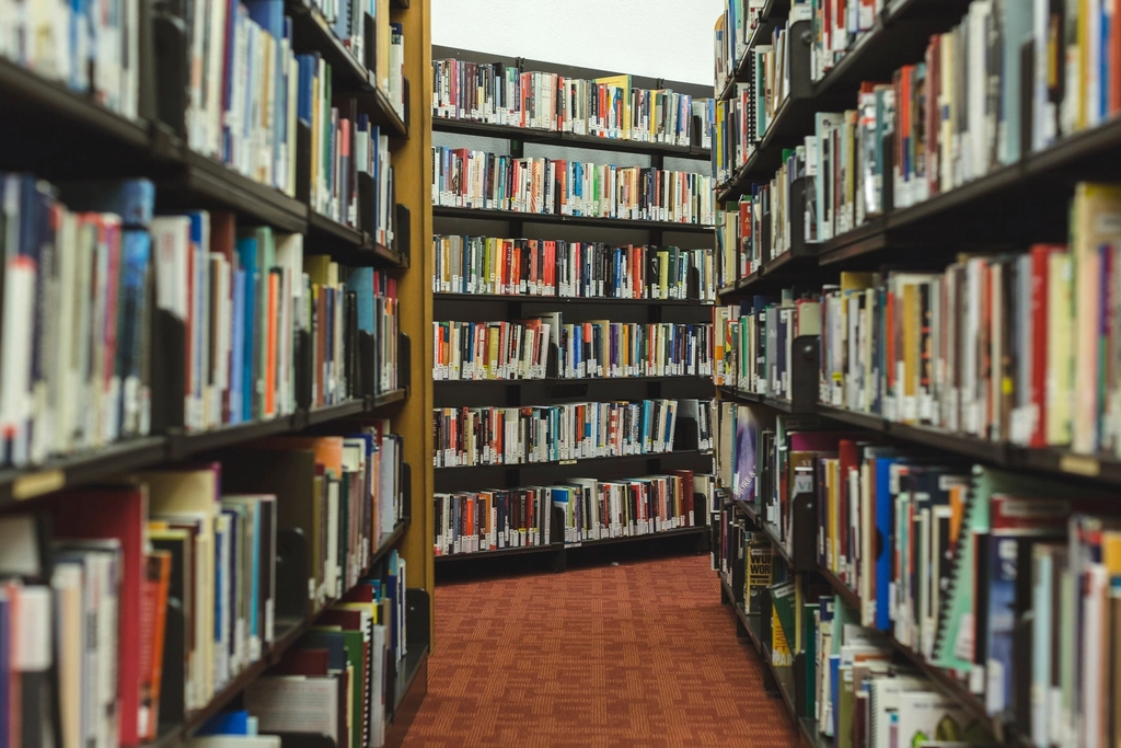 Curriculum Guidelines and Policy Shifts (image credits: rawpixel)