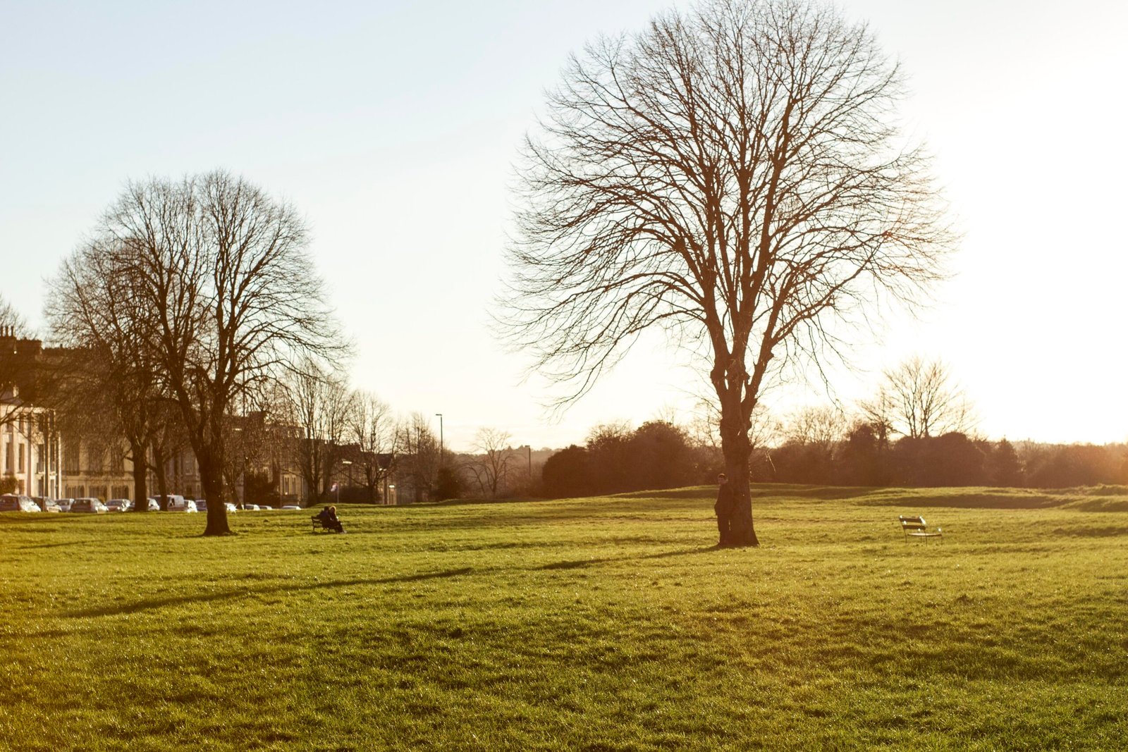 King Charles II's Great Hide - From Throne to Tree (image credits: wikimedia)