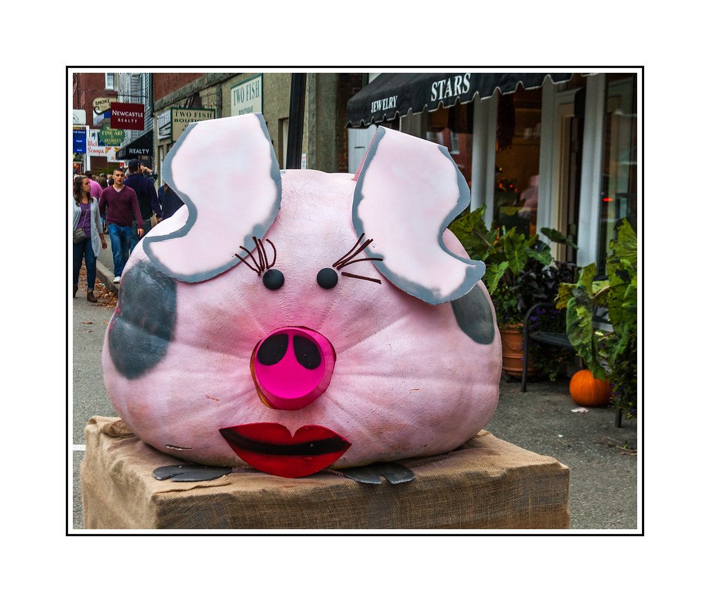 Oregon's Pig-and-Car Racing Madness (image credits: flickr)
