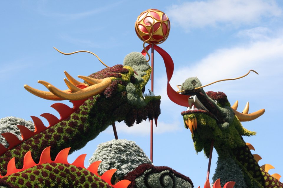 Festivals Where Animals Are the Stars of the Show