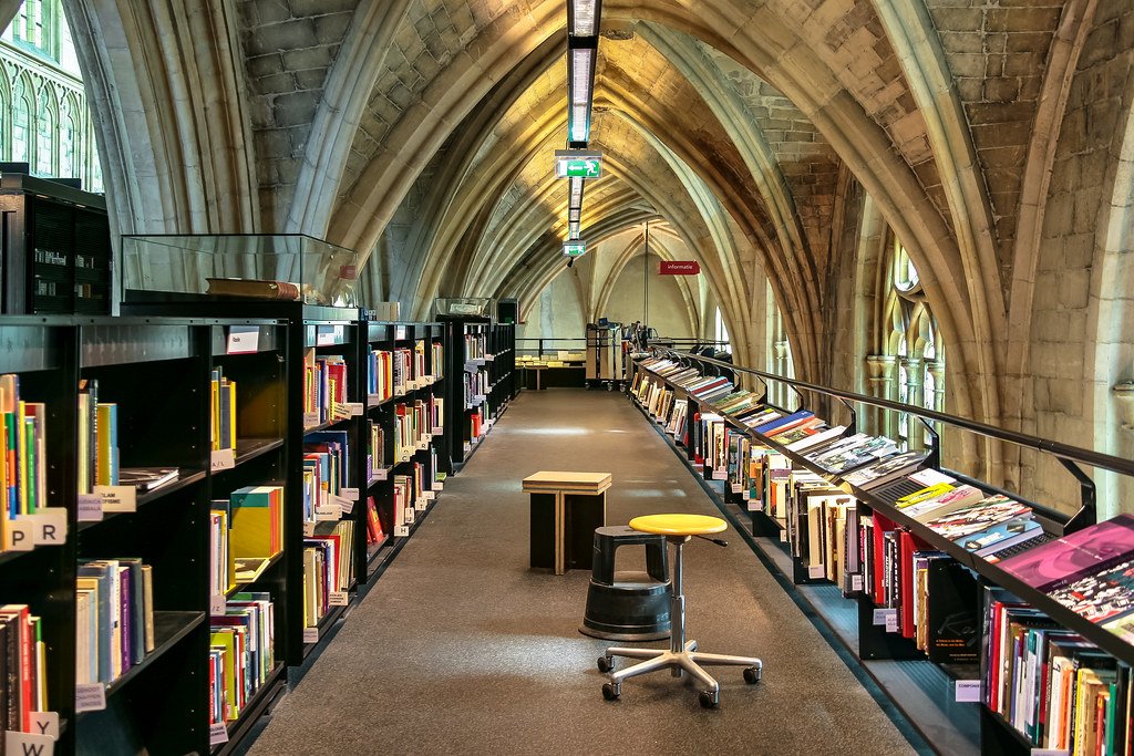 The 700-Year-Old Dutch Book Cathedral (image credits: flickr)