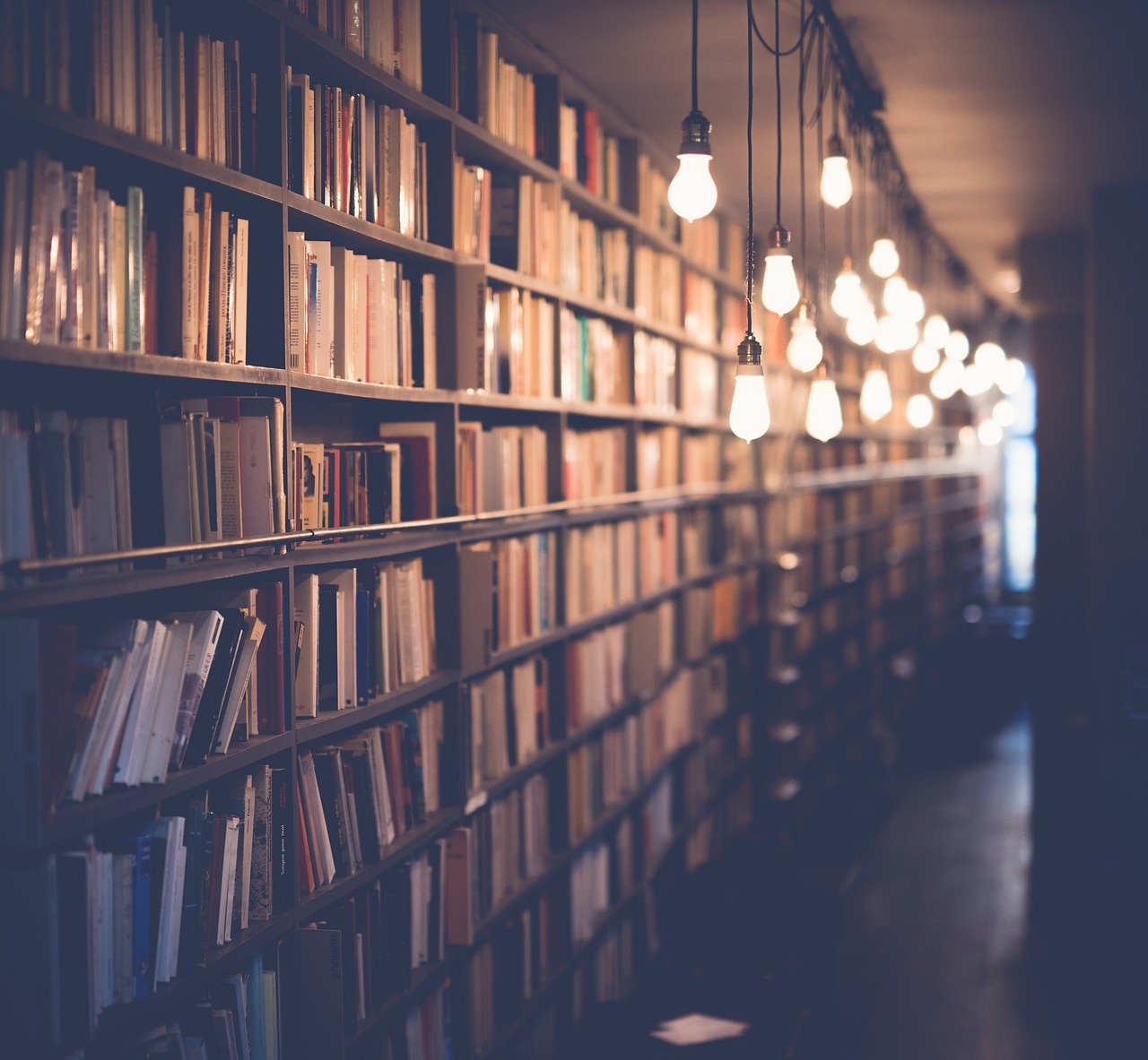 The “Little Free Library” Movement and Modern Espionage (image credits: pixabay)