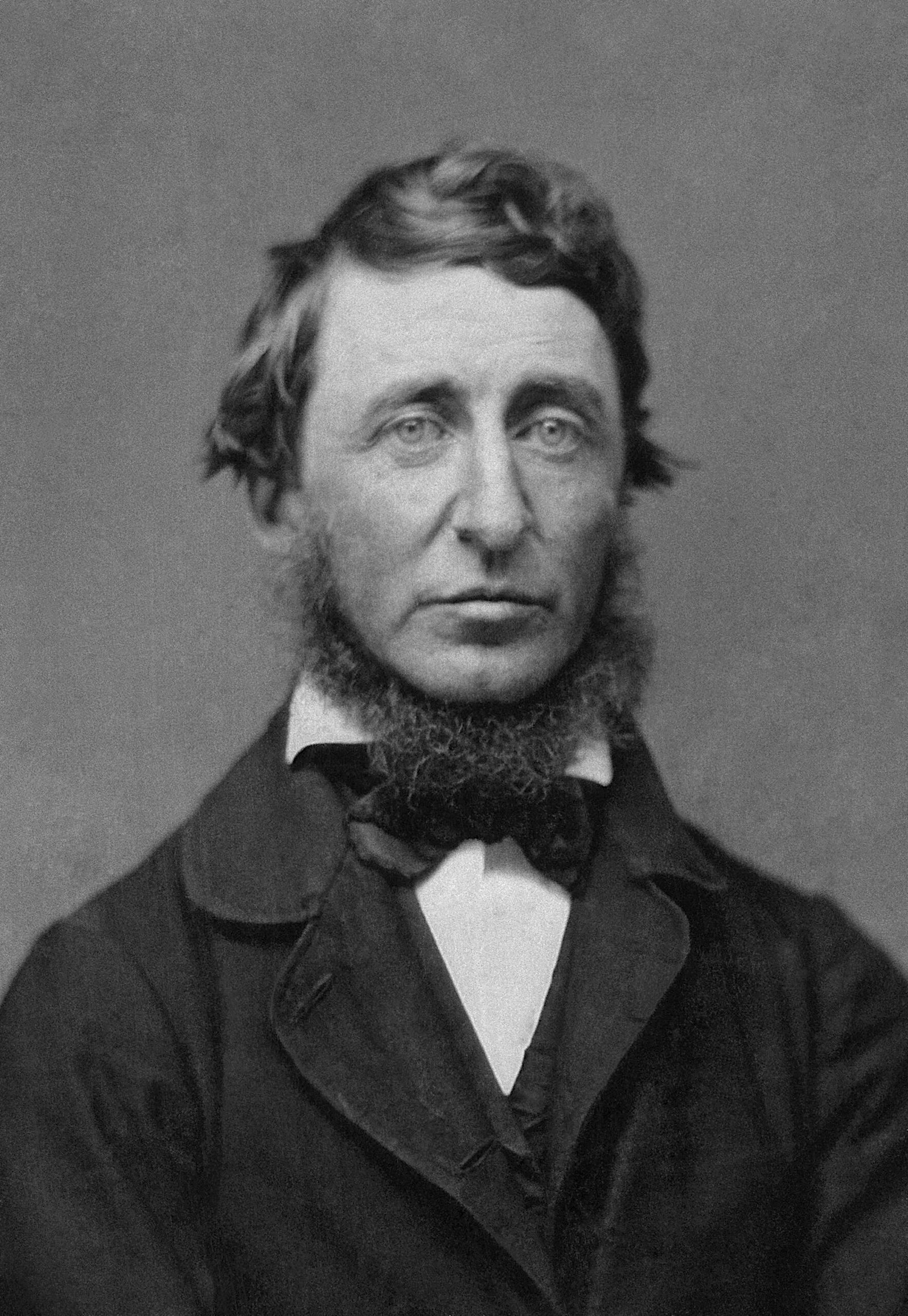 Henry David Thoreau’s Lasting Influence (image credits: wikimedia)