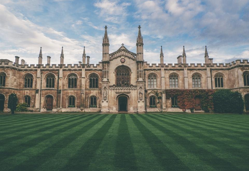 Campus Novels: When University Life Was Actually Funny (image credits: stocksnap)