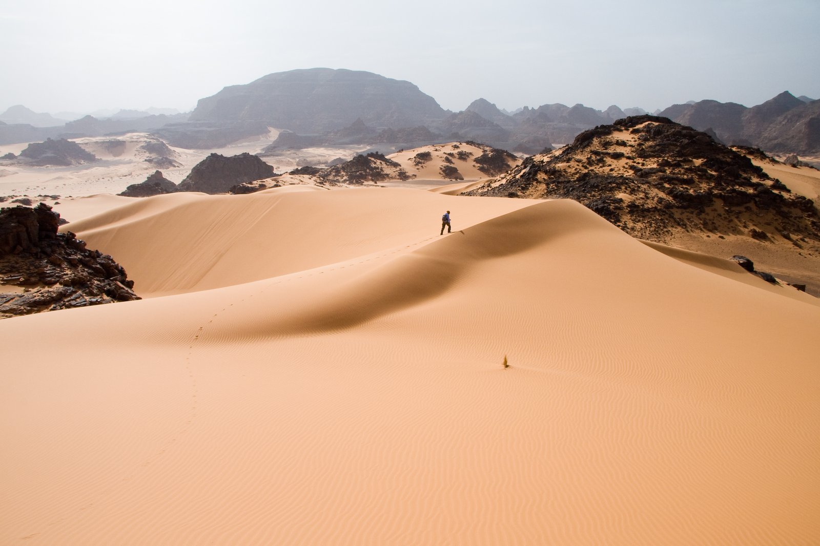 The Saharan Exile That Shaped a Generation (image credits: wikimedia)
