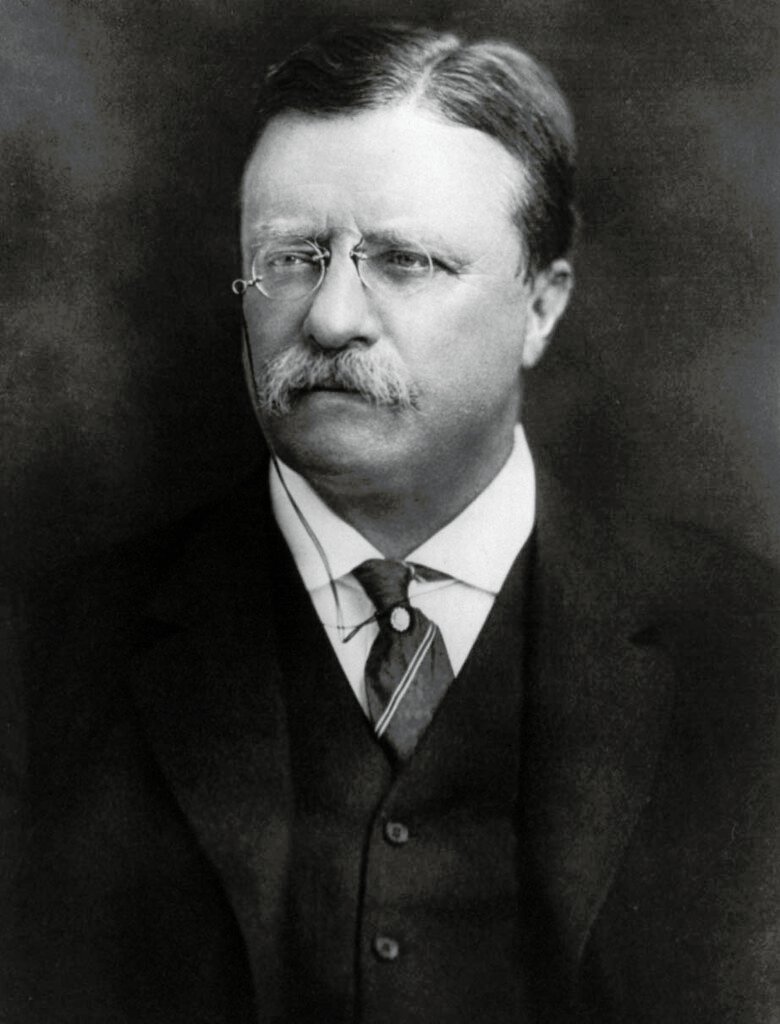 Theodore Roosevelt: The Strenuous Life (Image Credits: Flickr)