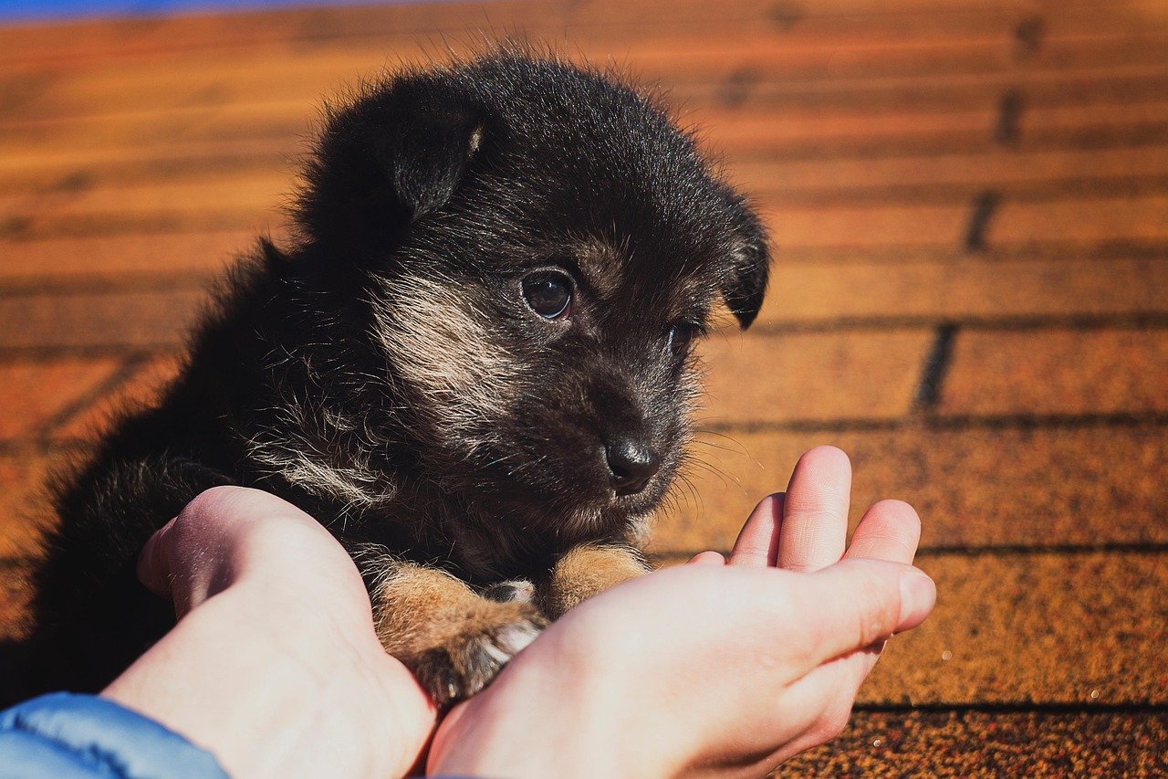 Small Acts, Massive Changes (Image Credits: Pixabay)