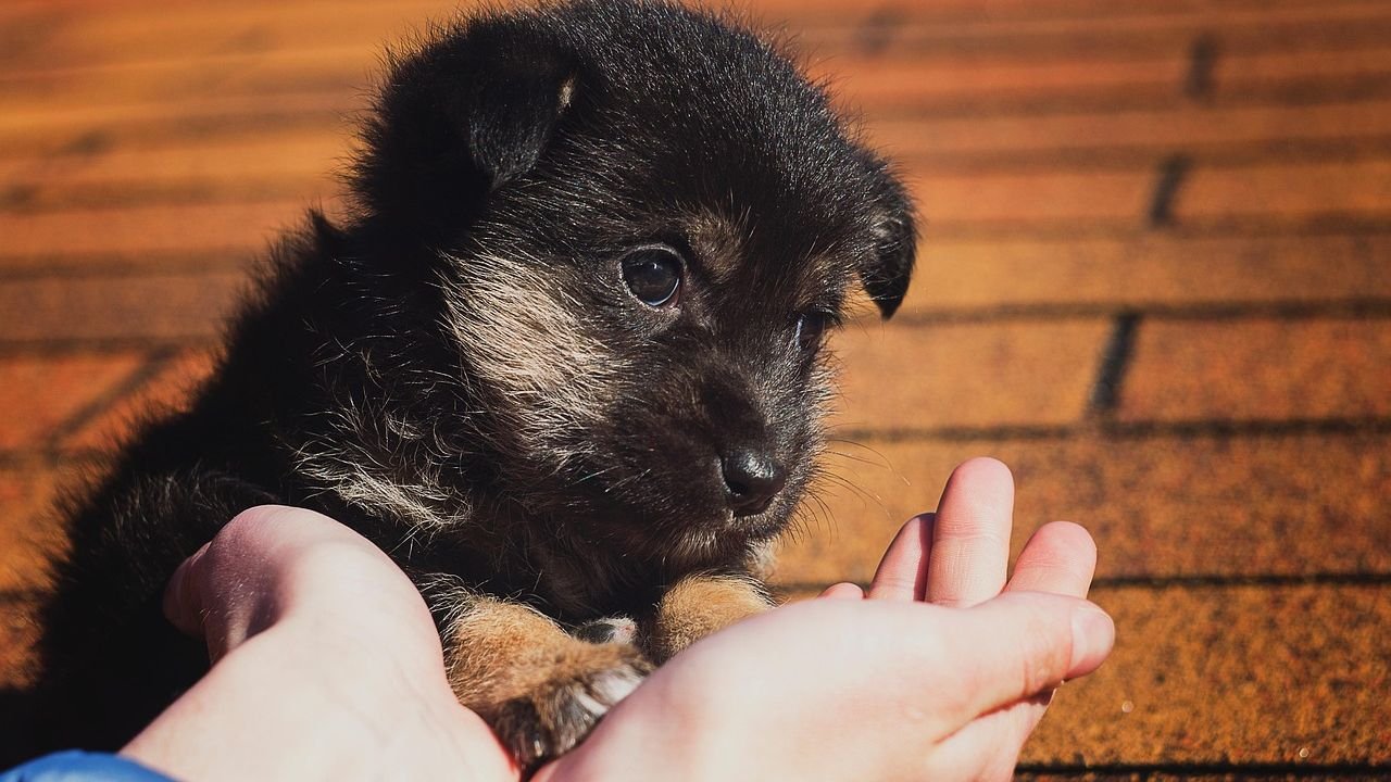 The Beauty of Giving – How Generosity Transforms Your Mind, Your Relationships, and Your Life