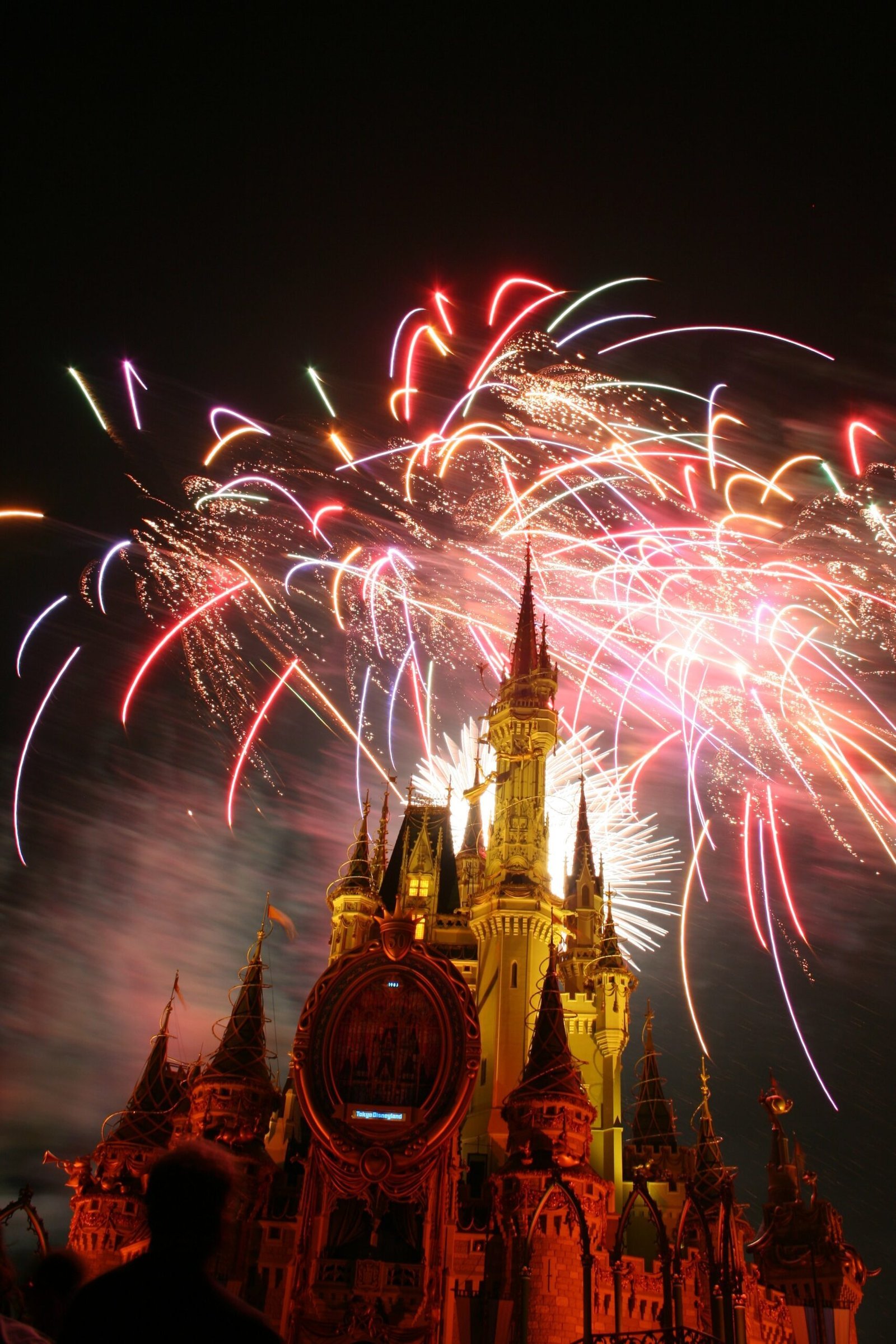 Walt Disney World New Year's Eve - Orlando (Image Credits: Wikimedia)