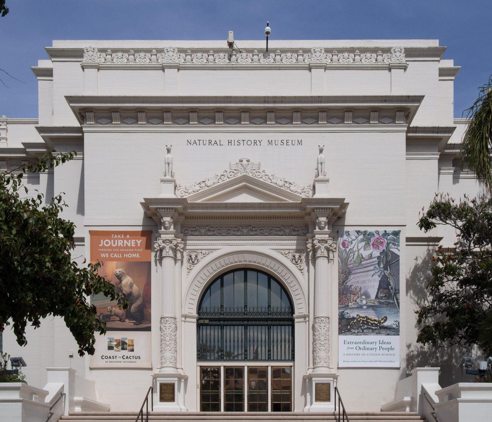 American Museum of Natural History: Gems that sparkle like a clear night sky (Image Credits: Wikimedia)