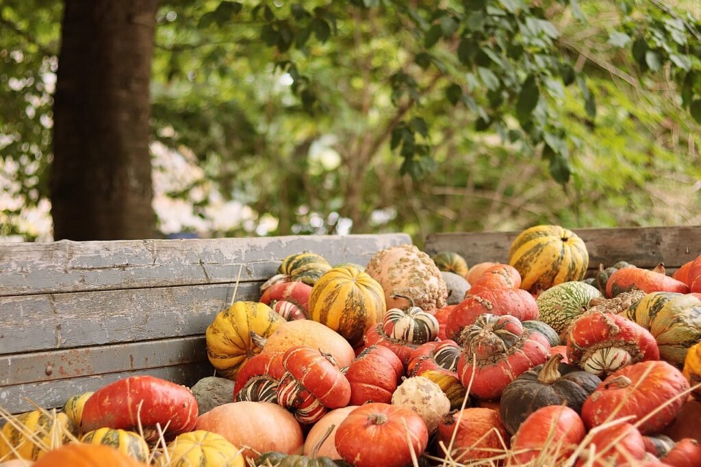 5 Genius Hacks to Breeze Through Thanksgiving Without the Chaos