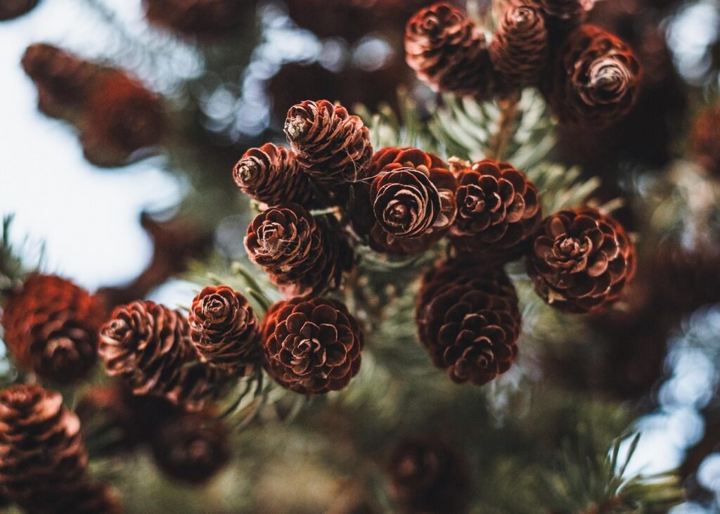 The Secret to Enjoying the Holidays Without Burning Out