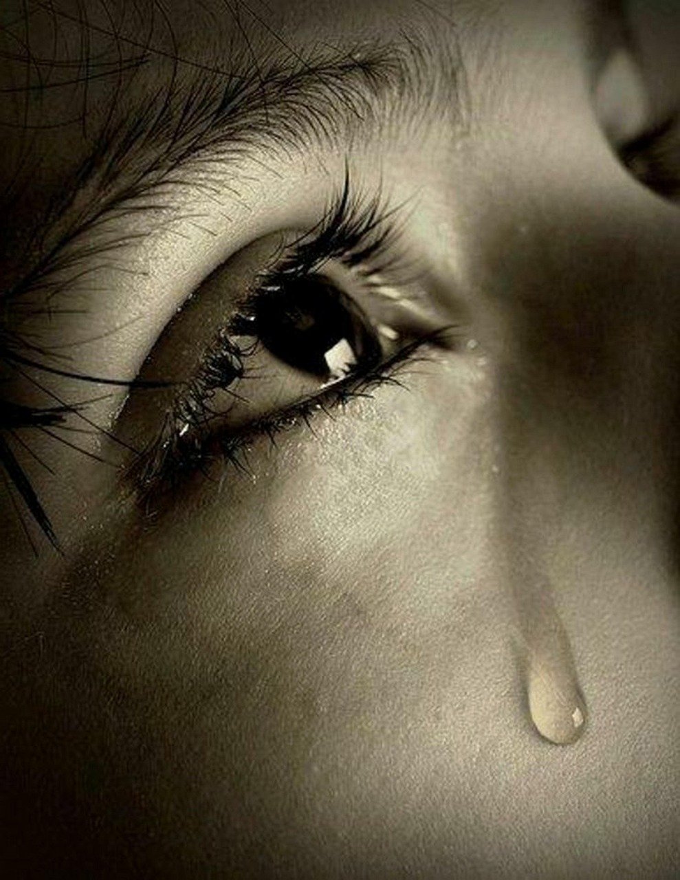 The ending that stays with you (Image Credits: Pixabay)
