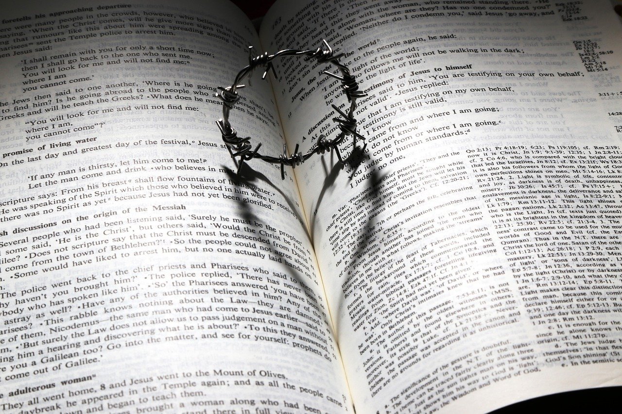 Lasting Impact Beyond the Final Page (Image Credits: Pixabay)