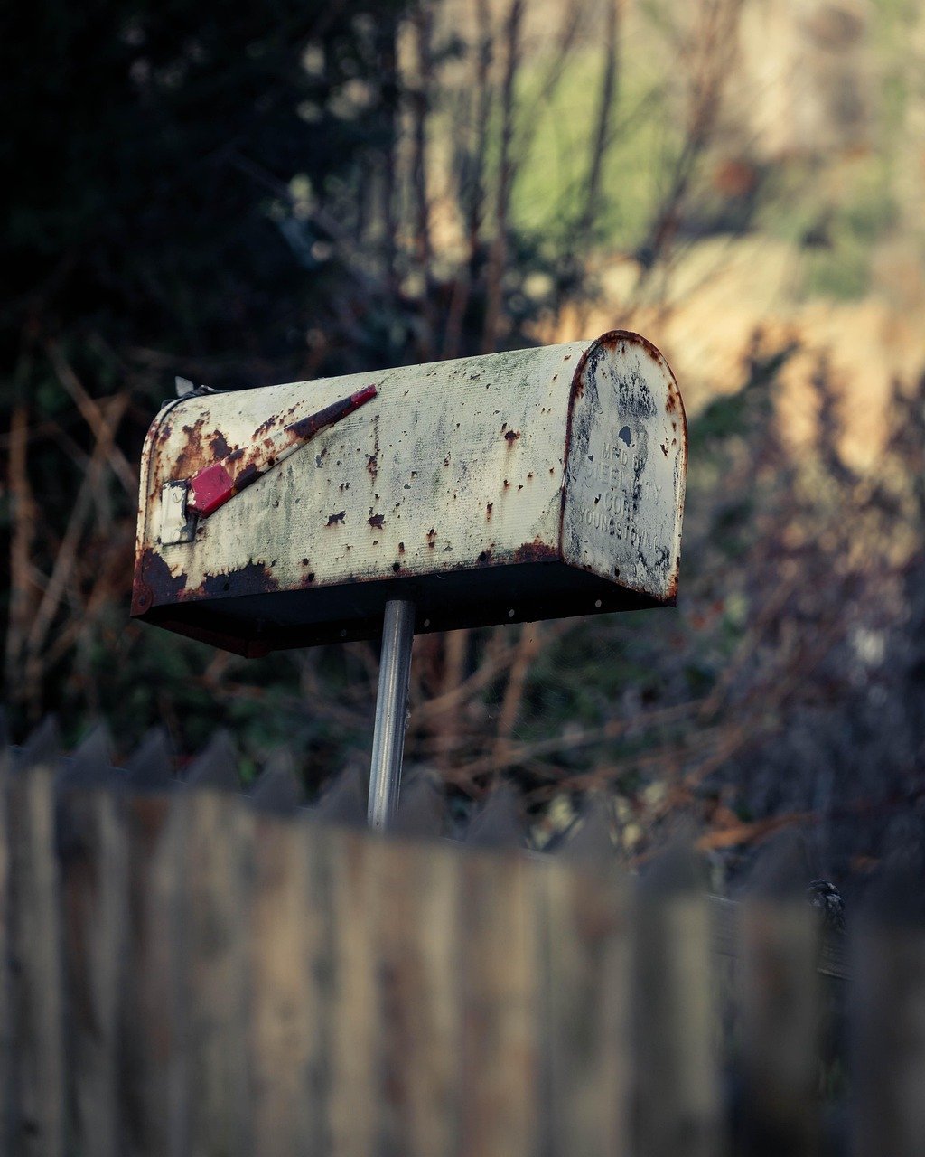 Famous Last Words by Gillian McAllister (Image Credits: Pixabay)