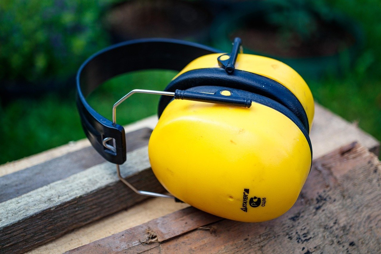 Noise Levels Can Actually Damage Your Hearing (Image Credits: Pixabay)