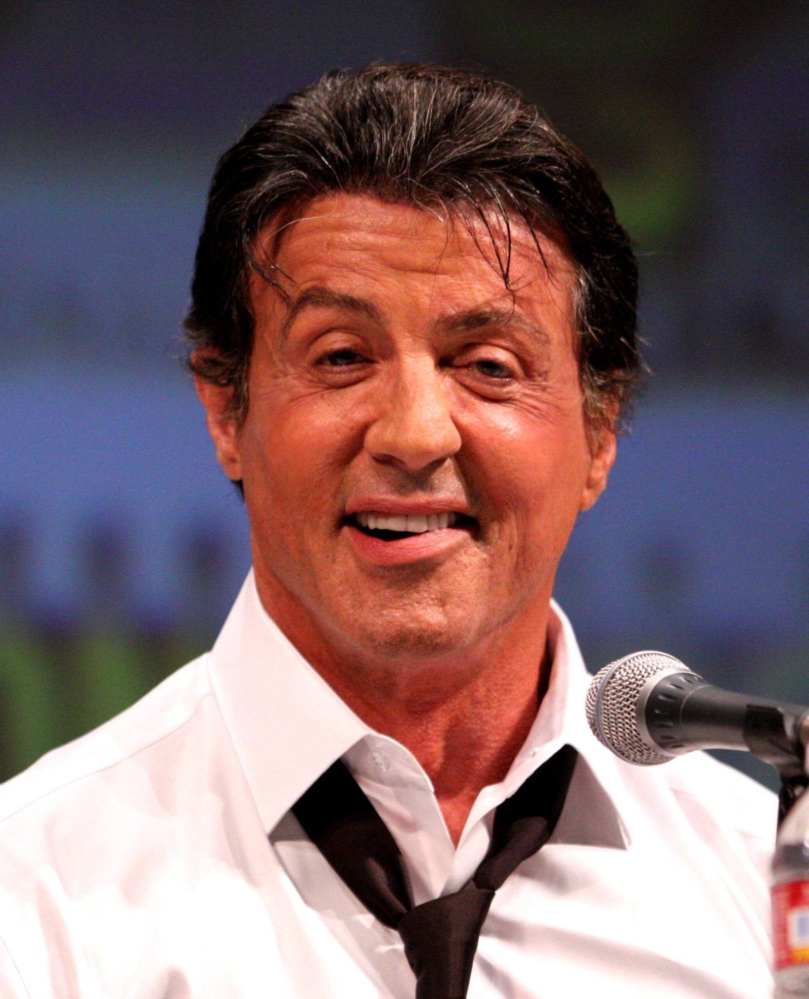 Sylvester Stallone Reflects on Regrets and Glory (Image Credits: Wikimedia)