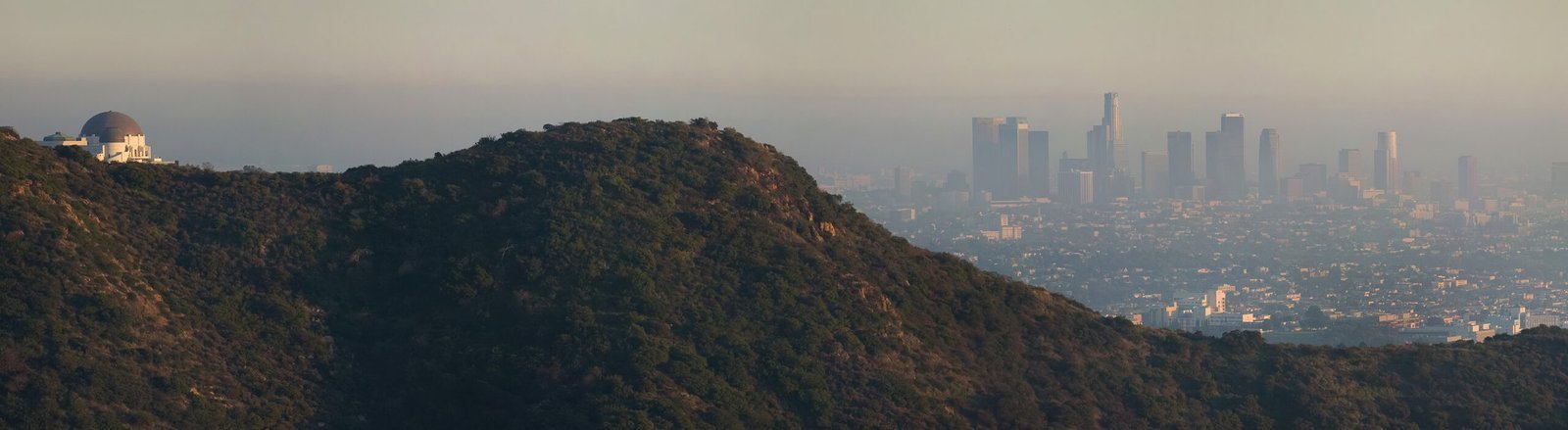 Wonderland: Los Angeles After Dark (Image Credits: Wikimedia)