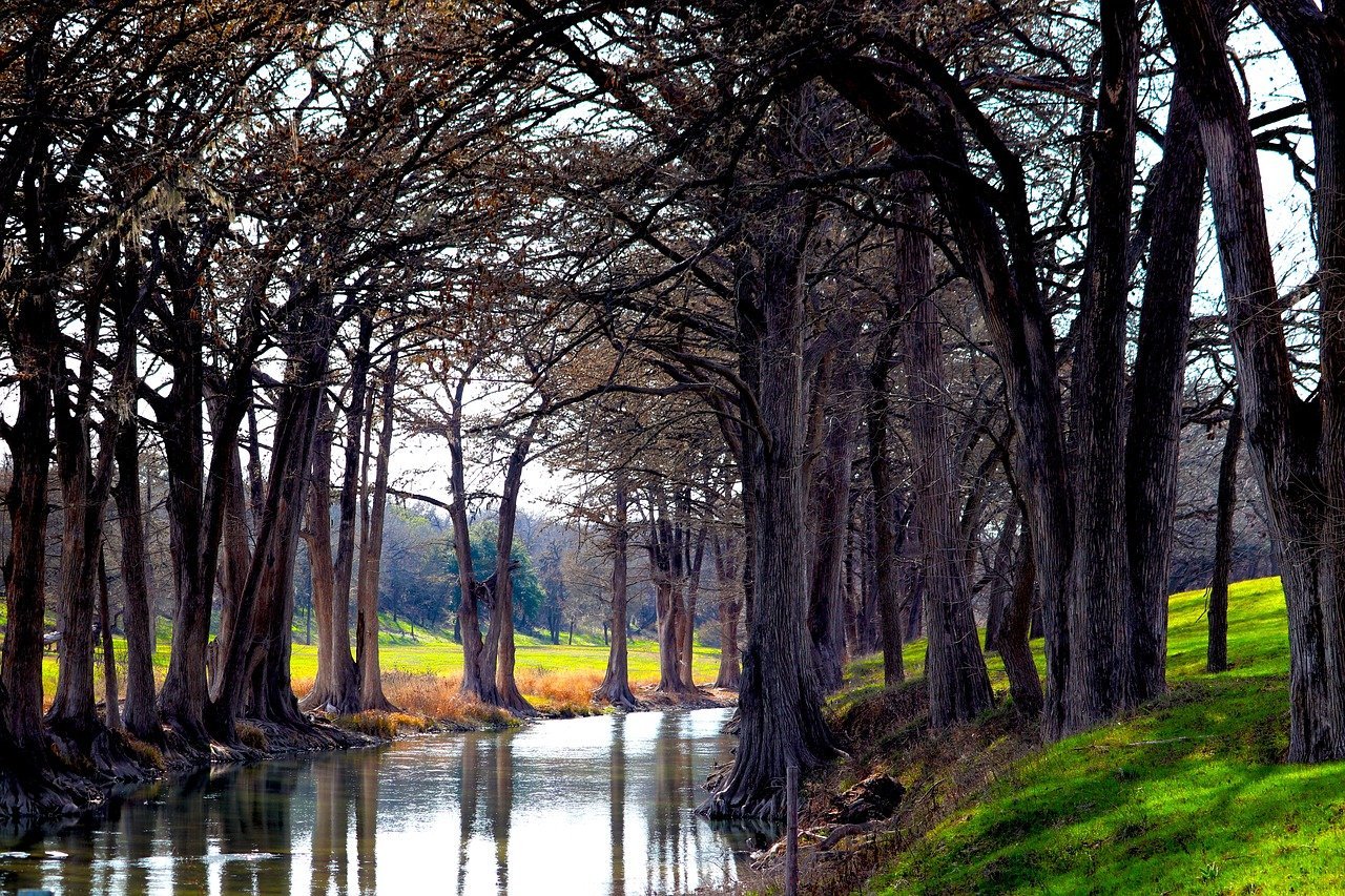 What This Winter Means for Regular Texans (Image Credits: Pixabay)